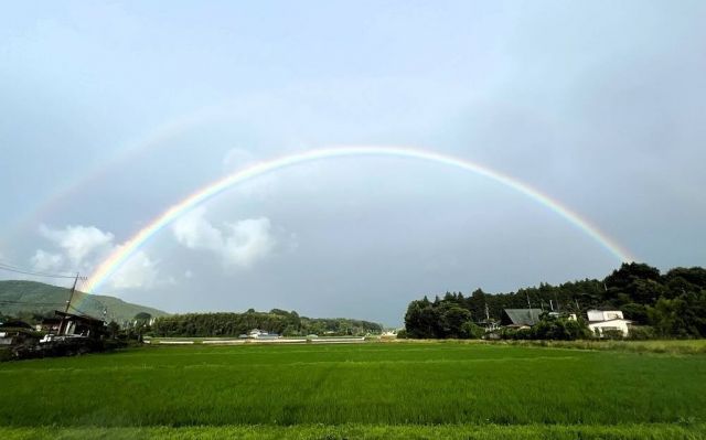 よーく見ると二重だよ

職員が帰り道に虹を発見したと、写真が届きました。
雨上がりのきれいな虹。
まるでアニメの中に描かれる虹のよう。
よーく見ると二重になってます。
利用者さんにも見せてあげてほしいです。

#社会福祉法人正恵会
#宝寿苑ヘルパーステーション
#在宅支援
#ホームヘルパー
#福祉タクシー
#雨上がり
#虹