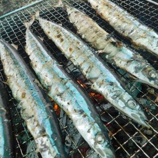 秋です！！

旬の食材　サンマを炭火で焼きました🥰

この日は雨・・・。
しかし
サンマは保管しておけません😭

「焼くしかないっしょ🔥」
ってことで
テントを張り、煙に巻かれながら
焼きました😂

この日の昼食は
「秋の天ぷら御膳」🍁

焼きたてのサンマと相性ばっちりでした💯

#正恵会#特別養護老人ホーム#ショートステイ#秋の味覚いただきます