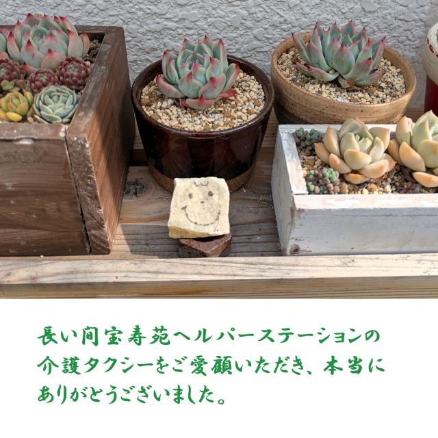 宝寿苑ヘルパーステーションの介護タクシー業務は令和7年5月31日をもって終了し、6月1日よりグランメールグループ内の上河内ヘルパーステーションと合併することになりました。
長年にわたるご愛顧に心から感謝申し上げますとともに、引き続きグランメール介護タクシーをよろしくお願い申し上げます。

合併後の介護タクシーについてはこちらをご覧ください
https://seikeikai.jp/kamikawachi_day/blog/post_6.html

#社会福祉法人
#正恵会
#宝寿苑ヘルパーステーション
#介護タクシー
#福祉タクシー