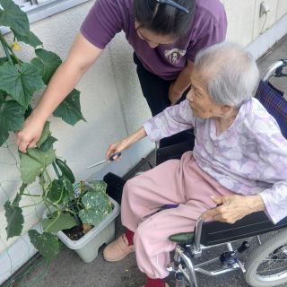 きゅうりの収穫🥒

ご利用者様と
プランターに植えた
きゅうりを収穫いたしました😍

ぬか床もご利用者様と
作ったので
ぬか床に入れたいと思います😊

お漬物を食べながら
お茶を飲む🍵
最高の水分、塩分補給ですよね🤣

＃正恵会 ＃ショートステイ ＃野菜の収穫体験 ＃手作りのある暮らし