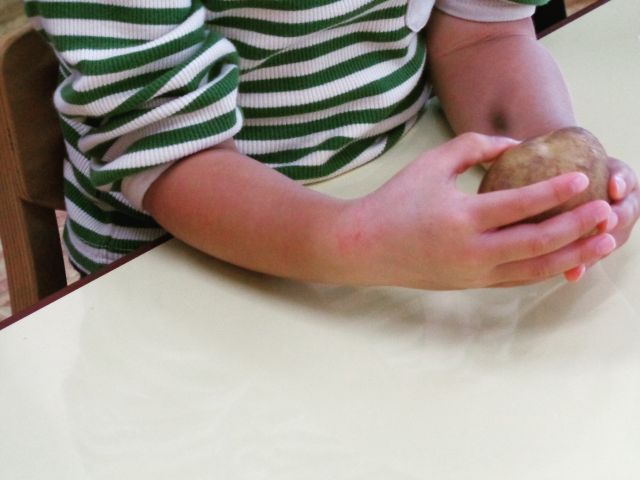 「野菜に触れよう」

食育で野菜に触れてみました🥬
人参、じゃがいも、玉ねぎは触ったり、匂いを嗅いだりしました。
キャベツは、給食室で茹でてもらうため皆でちぎりました。

お友達と同じテーブルを囲み、野菜を交換したり、会話しながら楽しみました❤️

茹でてもらったキャベツは、昼食に出してもらいました。
自分たちでちぎったキャベツだと知り、おかわりをするお子さまもいました😊

食育は今後も継続していこうと思います。

#グッドチャイルド保育園　
#グッドチャイルド　#保育園
#宇都宮　#宇都宮保育園
#保育園製作　#園児募集　
#保育園探し
#保育園見学受付中
#保育園受け入れ状況
#子育てサロン
#保育園行事
#食育