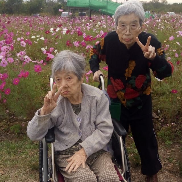 鬼怒川グリーンパークのコスモス祭りに行ってきました①