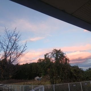 秋です！

最近めっきり寒くなってきました🍁
体調を崩しやすくなっています。
皆さまご注意下さい⚠️

夕焼けがとってもキレイで思わずパシャリ📷！！

自然豊かな宝寿苑です🎵

#正恵会 
#特養 
#介護老人福祉施設 
#夕焼けこやけでまた明日