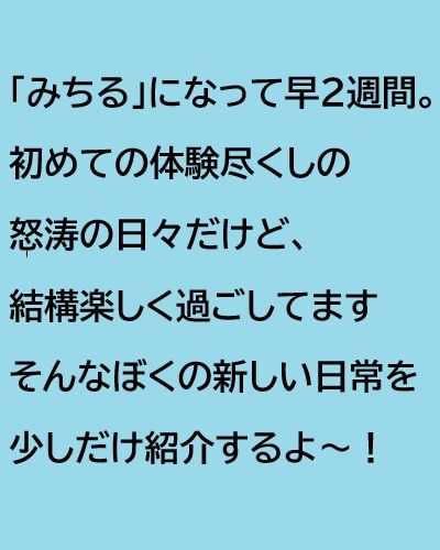 ニューフェイスのみちる君。
順調に新しい生活に慣れて行っていますよ🥰

#社会福祉法人正恵会
#宝寿苑ヘルパーステーション
#訪問介護
#ホームヘルプサービス
#セキセイインコ
#インコのいる生活