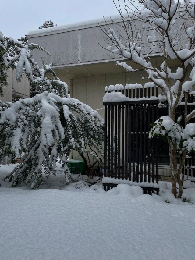 雪景色

日曜日の朝は交通量が少なく、スムーズに出勤できました。
雪景色はとても美しいけれど、危険もいっぱいですね。

出勤途中、自転車の学生さんや、お年寄りを見かけましたが、何とも危うい😕様子でした。
自転車での雪道走行、転倒の危険性が高く、急に転倒されても直ぐには止まれない自動車🚗　大きく避けて抜いて来ました。　

どうしても、出かけなければならない皆様、どうぞお気をつけて。

そうそう、本日、初めてミチル君を手の中に包みナデナデいたしました。
何とも言えぬ幸福感でした。
かくいうミチル君も、嬉しそうな聞き取れない声を発していましたが、気づけば「ガブっ」と噛んでいきました。

なぜ？

そんなことを、2回3回と繰り返し、ワタクシの手の甲は傷だらけでございます。

さて、雪景色を見ながらお仕事頑張ります。

#訪問介護
#社会福祉法人正恵会
#宝寿苑ヘルパーステーション
#セキセイインコ
#ゆき