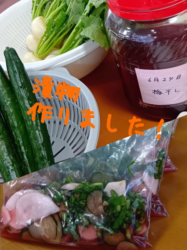 漬物作り♪

去年同様、梅干しを作った時の梅酢をとっておいて漬物を皆で作りました🤗

サクサク野菜を切ってくださり、1時間もたたずに出来上がりました！

作業中は、世間話をしたり冗談を言い合ったり歌ったり。

「楽しかった〜」
「また会おうね！」

と握手をしていました🤝
次は何を作ろうかな。。。

#正恵会
#特別養護老人ホームホームタウンほそや
#ホームタウンほそや
#ホームタウン細谷
#漬物
#梅酢