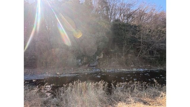 仕事で時々通る『豊郷まほろばの道』は宝寿苑地方では珍しく川沿いにあるので、車窓からの景色が楽しみな道です😊

休憩時間に車を停めて、射し込む光が綺麗な対岸を撮っていたら…突然現れた氷の滝！
周囲の岩もすべて凍っていて、まるでここだけ時間が止まっているかのような

ひぇ～さぶっ！
見ているだけでブルブル震えて来そうです😱

立春過ぎて暦の上では春になりましたが、3月でも明け方は氷点下まで冷え込むこともある北関東なので、日の当たらない北側斜面の氷が融けるのはいつになるやら…
暖かい春が待ち遠しいですね🌸

#社会福祉法人正恵会
#宝寿苑ヘルパーステーション
#訪問介護
#ホームヘルプサービス